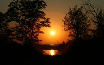 Картинка природа восходы закаты вечер закат лес