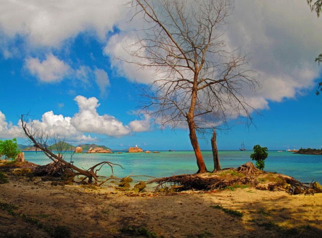 Обои картинки фото сейшелы, природа, тропики, море