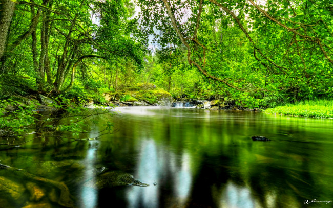 Обои картинки фото природа, реки, озера, лес, река