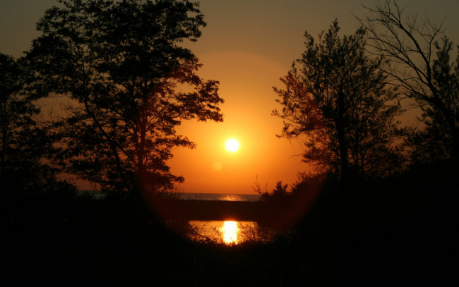 Обои картинки фото природа, восходы, закаты, вечер, закат, лес