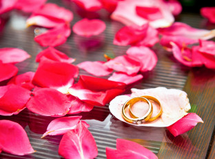 Картинка разное украшения +аксессуары +веера кольца лепестки