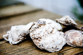 Картинка разное украшения +аксессуары +веера кольца ракушки камни фон