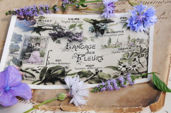 Картинка разное ретро +винтаж винтаж стиль открытка письма старые чернила цветы весенние гортензия