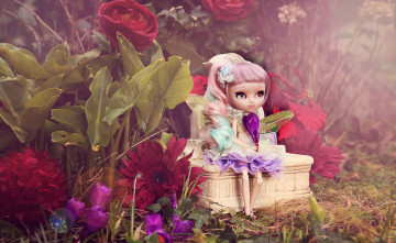 Картинка разное игрушки цветы кукла