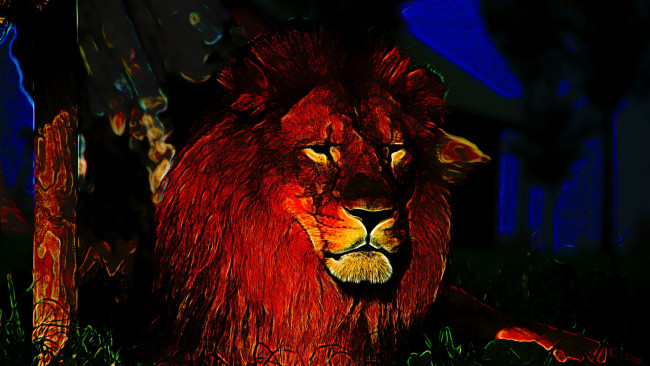 Обои картинки фото рисованные, животные,  львы, лев