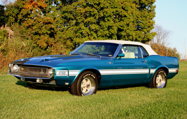 Обои картинки фото автомобили, mustang