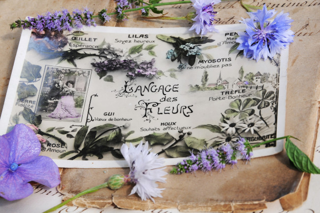 Обои картинки фото разное, ретро,  винтаж, винтаж, стиль, открытка, письма, старые, чернила, цветы, весенние, гортензия