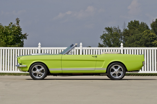 Обои картинки фото автомобили, mustang, ford