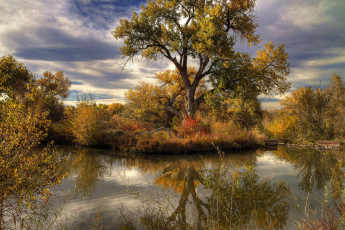 Картинка природа реки озера лес облака река