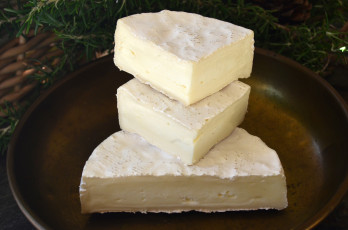 Картинка cal+pujolet+tierno еда сырные+изделия сыр