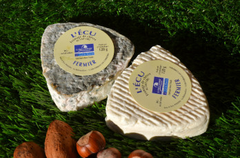 Картинка l’& 201 cu еда сырные+изделия сыр