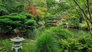 Картинка ball+ground+gibbs+gardens+сша природа парк пруд деревья кусты