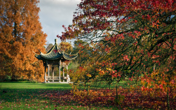 Картинка природа парк осень листва краски