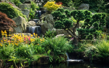 Картинка природа парк ручей деревья пруд