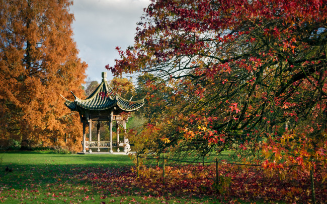 Обои картинки фото природа, парк, осень, листва, краски