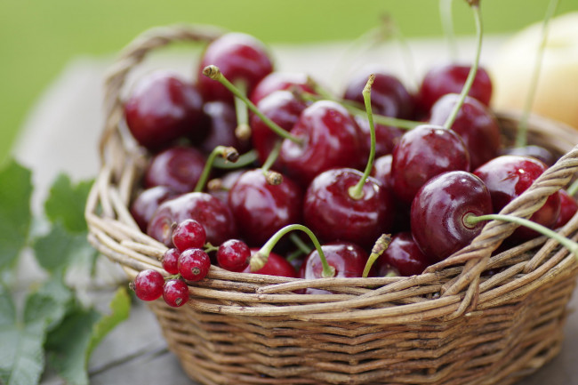 Обои картинки фото еда, вишня,  черешня, ягоды, корзинка