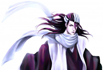 Картинка аниме bleach бьякуя кучики