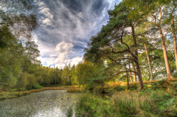 Картинка природа реки озера лес река