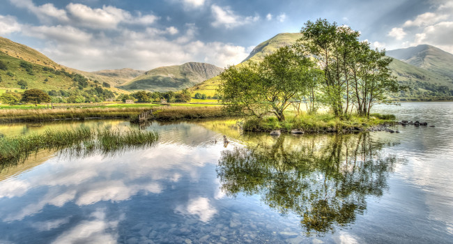 Обои картинки фото природа, реки, озера, река, лес