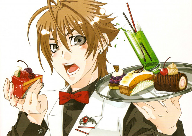 Обои картинки фото аниме, monochrome factor, монохромный, фактор