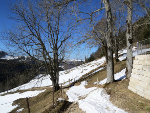 Картинка природа зима снег деревья