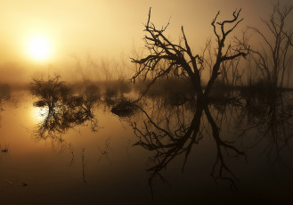 Картинка природа восходы закаты рассвет