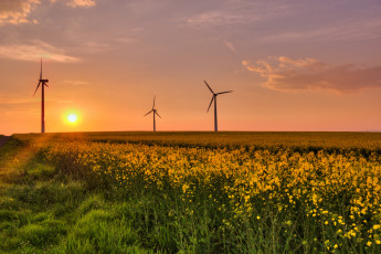 Картинка природа восходы закаты рассвет