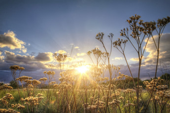 Картинка природа восходы закаты рассвет