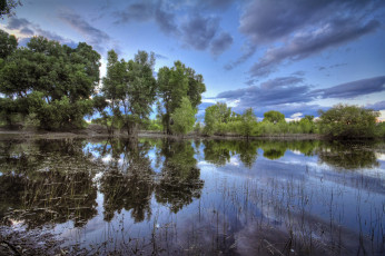 Картинка природа реки озера лес река