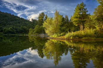 Картинка природа реки озера река лес