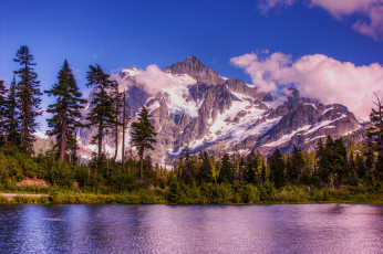 Картинка природа реки озера река лес