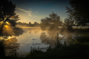 Картинка природа реки озера река лес