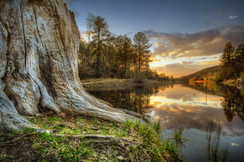 Картинка природа реки озера река лес