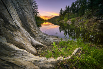 Картинка природа реки озера река лес