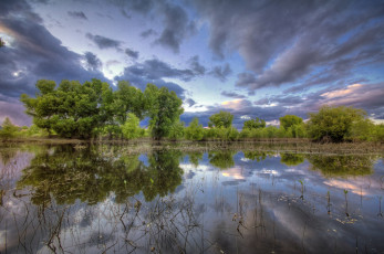 Картинка природа реки озера река лес