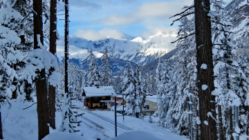 Картинка города -+пейзажи лес деревья дом горы снег
