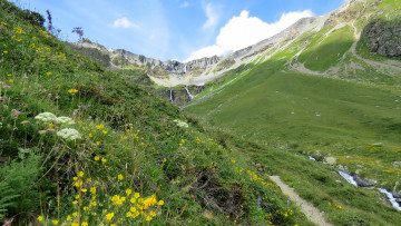 Картинка природа горы ручей