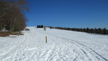 Картинка природа зима снег деревья