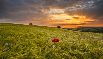 Картинка природа восходы закаты рассвет