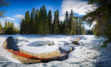 Картинка природа реки озера лес река