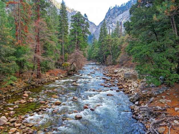 Обои картинки фото природа, реки, озера, горы, камни, yosemite, national, park, merced, river, река