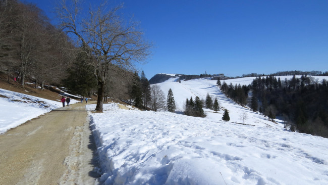 Обои картинки фото природа, дороги, снег, деревья, дорога