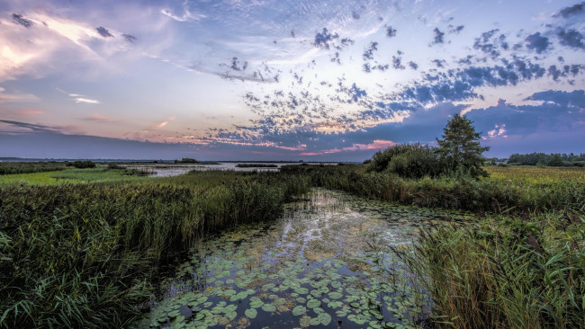 Обои картинки фото природа, пейзажи, пейзаж, водоём, закат, облака, небо