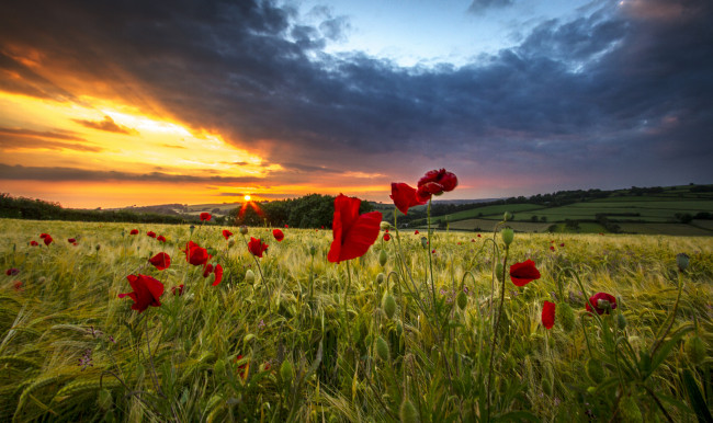 Обои картинки фото природа, восходы, закаты, рассвет