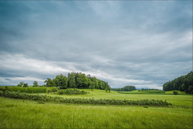 Обои картинки фото природа, пейзажи, поля, бавария, деревья, холмы, германия