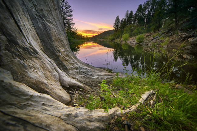 Обои картинки фото природа, реки, озера, река, лес