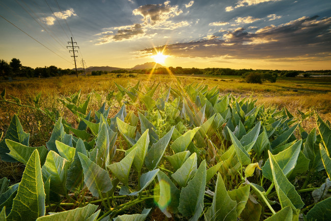 Обои картинки фото природа, восходы, закаты, рассвет