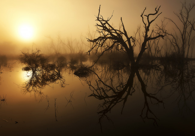 Обои картинки фото природа, восходы, закаты, рассвет