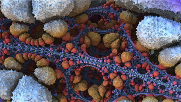 Картинка 3д+графика абстракция+ abstract цвет фон узор