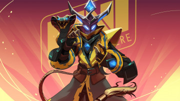 Картинка видео+игры paladins